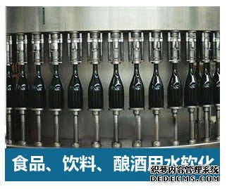 0.5噸(500L)每小時出力全自動軟水器