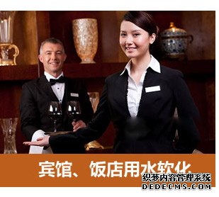 0.5噸(500L)每小時出力全自動軟水器