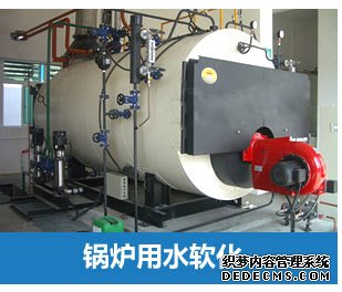 0.5噸(500L)每小時出力全自動軟水器