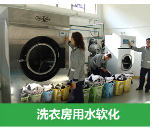 0.5噸(500L)每小時出力全自動軟水器