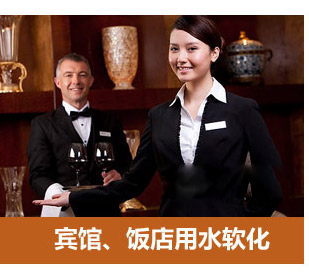 數(shù)顯多路閥全自動軟水器(軟化水設(shè)備)